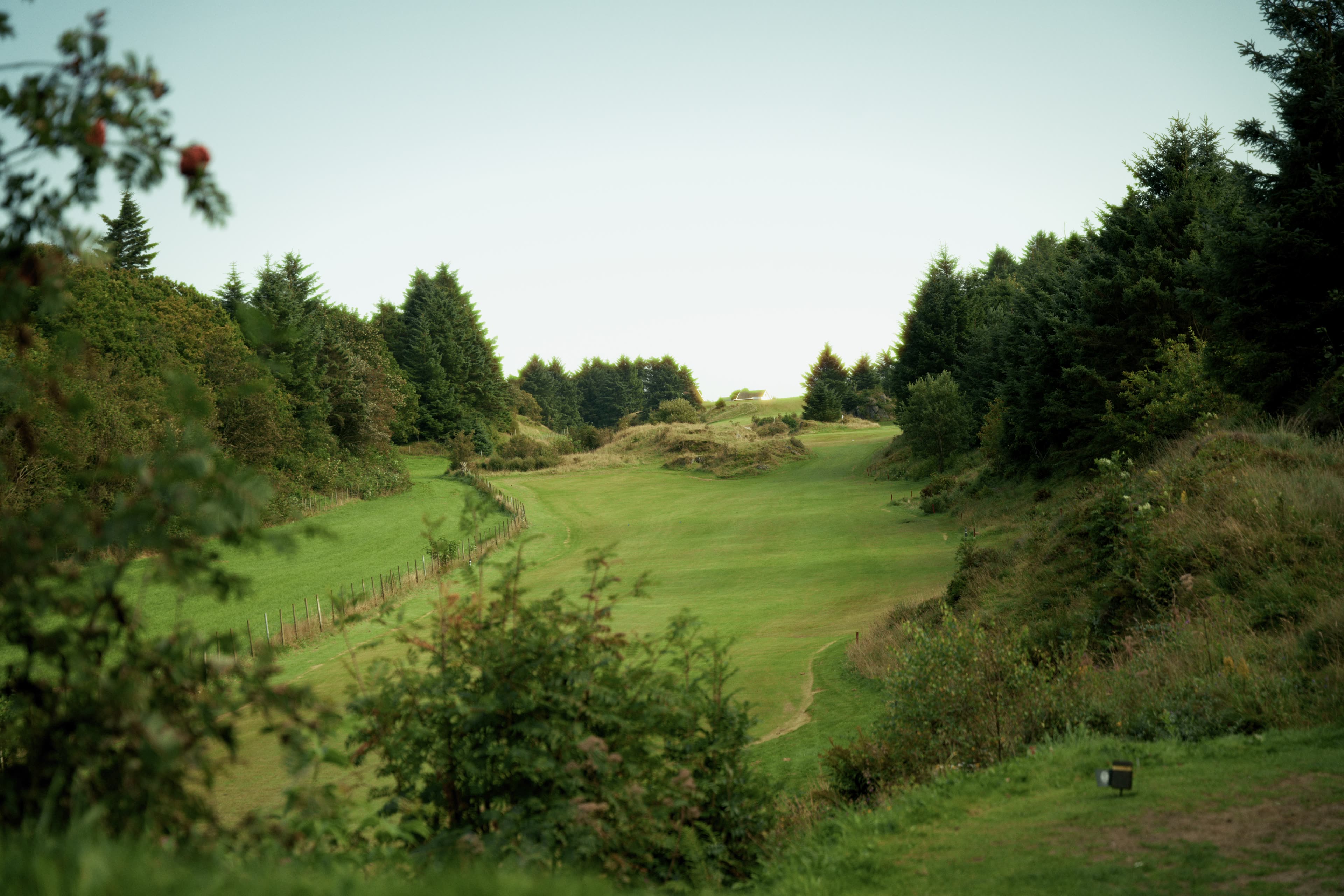 Fairway gjennom skogkledd dalsøkk, med rogn i forgrunnen